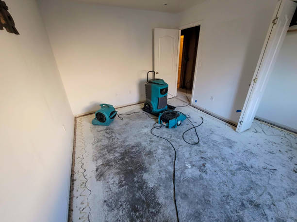 Best Commercial water damage restoration  in Bremen, GA