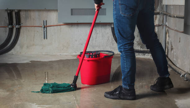 Best Sewage cleanup and water damage restoration  in Bremen, GA
