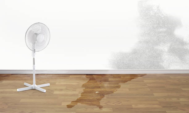 Best Sewage cleanup and water damage restoration  in Bremen, GA