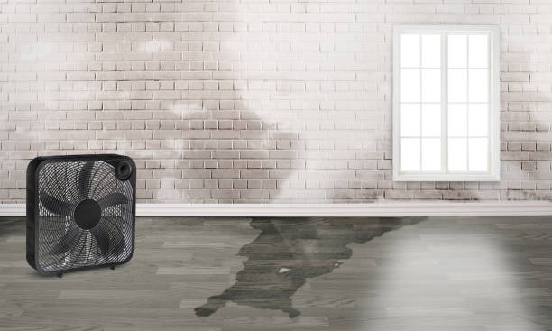 Best Ceiling water damage repair  in Bremen, GA