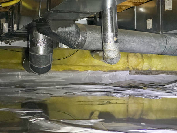 Best Basement water damage restoration  in Bremen, GA