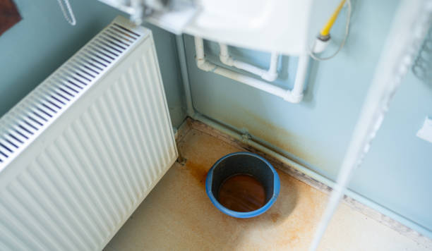 Best Mold removal after water damage  in Bremen, GA