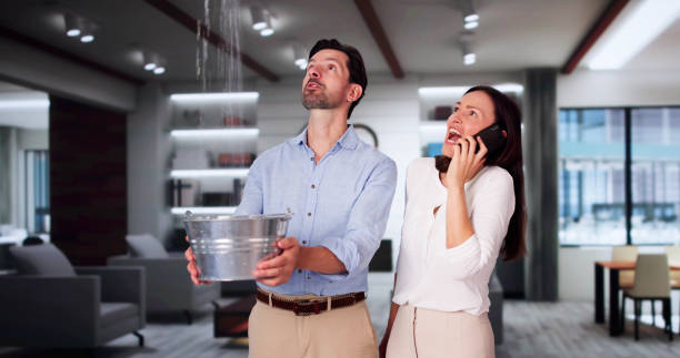 Best Mold removal after water damage  in Bremen, GA